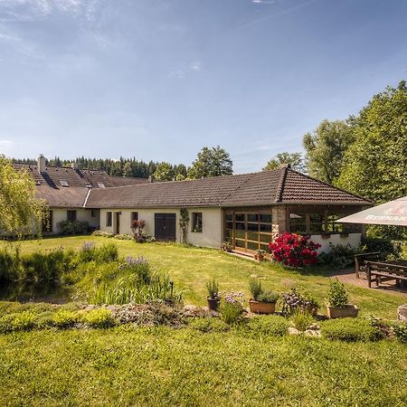 Hotel Penzion U Dračice Nová Bystřice Exteriér fotografie