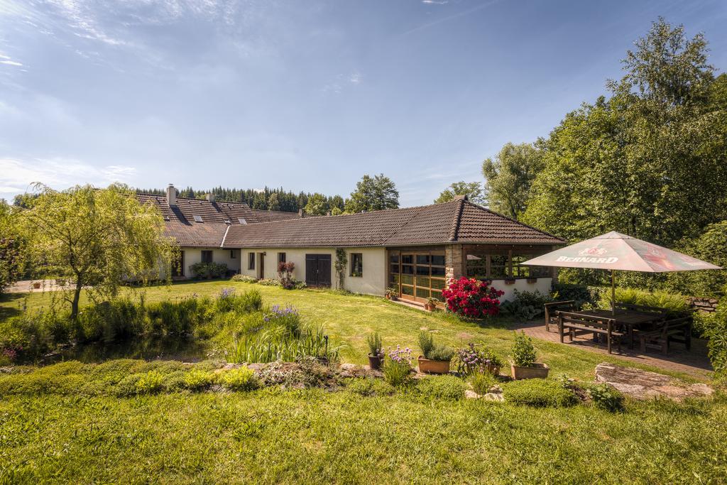 Hotel Penzion U Dračice Nová Bystřice Exteriér fotografie