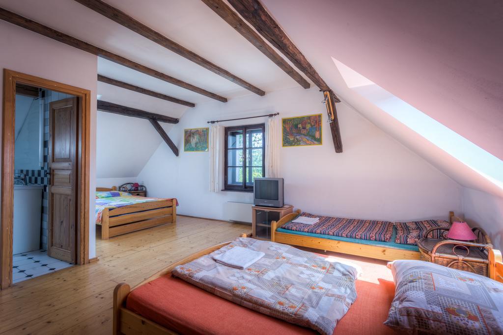 Hotel Penzion U Dračice Nová Bystřice Exteriér fotografie